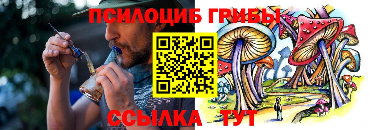 Галлюциногенные грибы GOLDEN TEACHER Тельмана